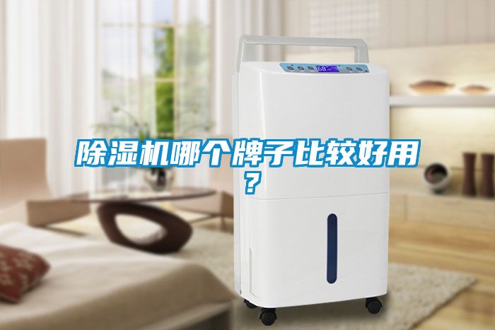 除濕機(jī)哪個(gè)牌子比較好用？