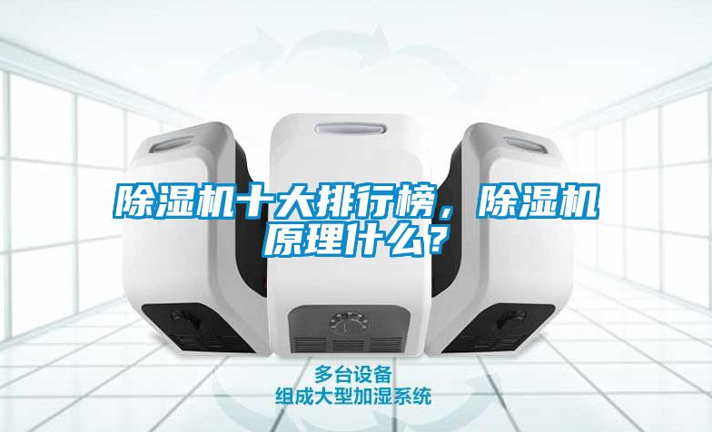 除濕機(jī)十大排行榜，除濕機(jī)原理什么？