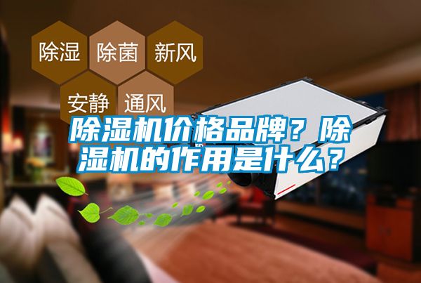 除濕機價格品牌？除濕機的作用是什么？