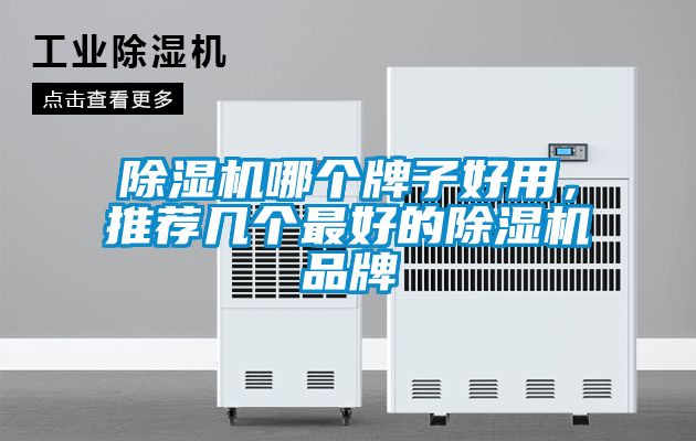 除濕機哪個牌子好用，推薦幾個最好的除濕機品牌
