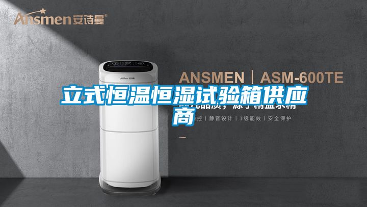 立式恒溫恒濕試驗箱供應商
