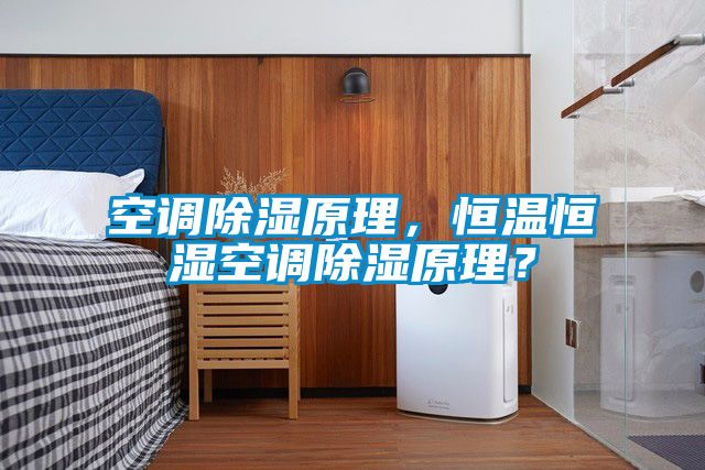 空調除濕原理，恒溫恒濕空調除濕原理？