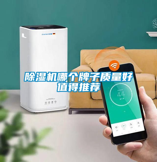 除濕機(jī)哪個牌子質(zhì)量好值得推薦