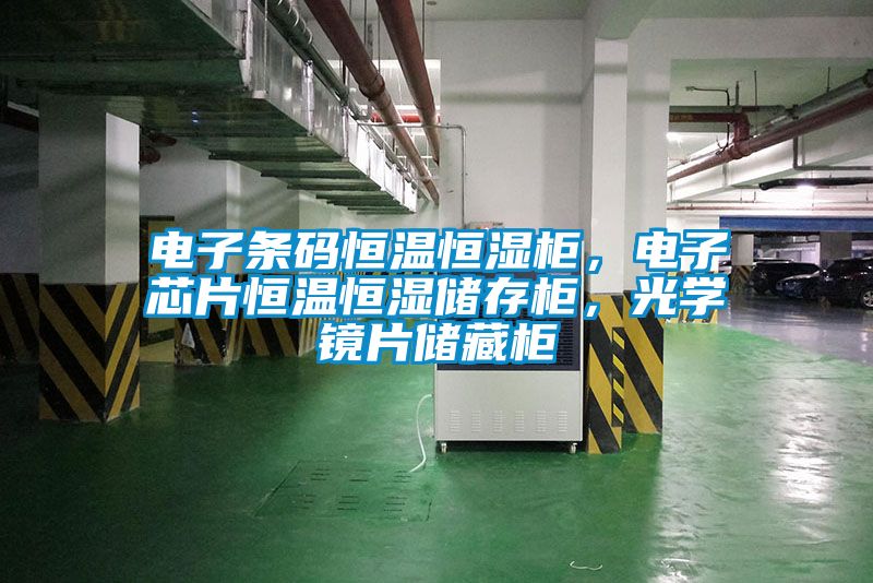 電子條碼恒溫恒濕柜，電子芯片恒溫恒濕儲存柜，光學(xué)鏡片儲藏柜