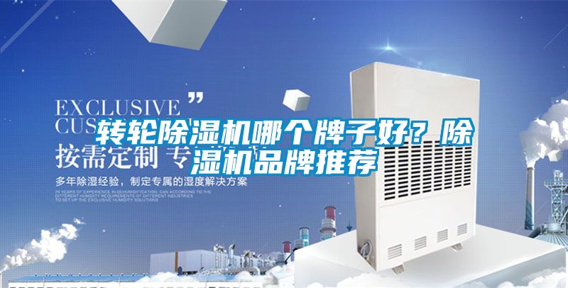 轉輪除濕機哪個牌子好？除濕機品牌推薦