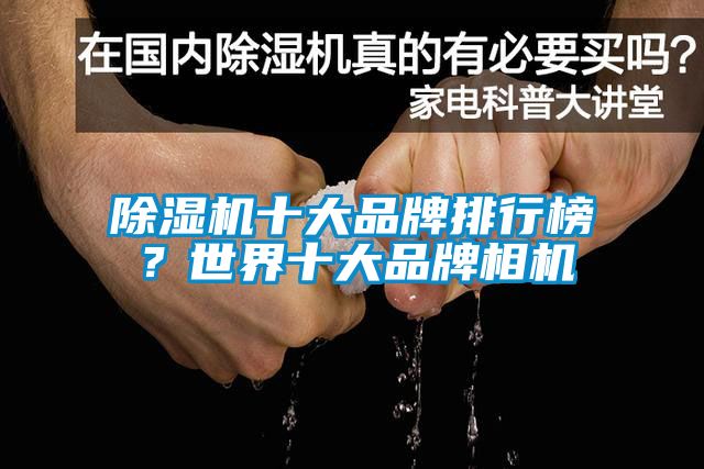 除濕機十大品牌排行榜？世界十大品牌相機