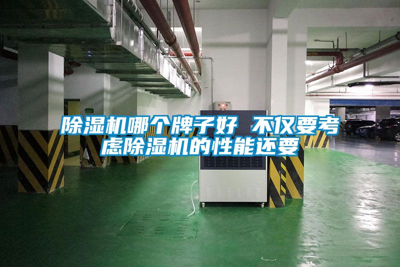 除濕機(jī)哪個(gè)牌子好 不僅要考慮除濕機(jī)的性能還要