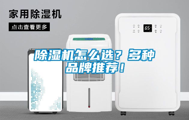 除濕機怎么選？多種品牌推薦！