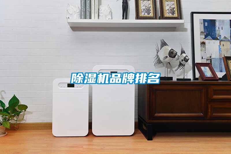 除濕機品牌排名