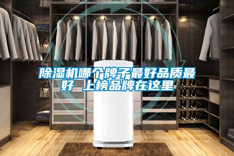 除濕機(jī)哪個牌子最好品質(zhì)最好 上榜品牌在這里