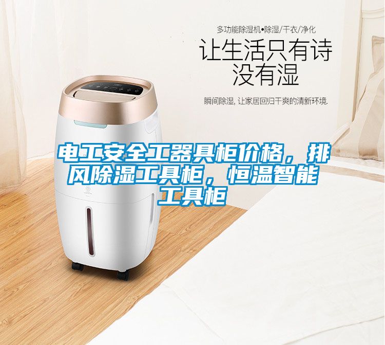 電工安全工器具柜價格，排風除濕工具柜，恒溫智能工具柜