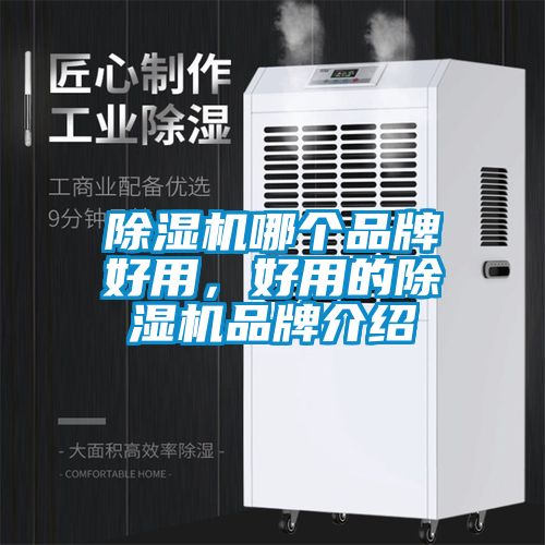 除濕機(jī)哪個品牌好用，好用的除濕機(jī)品牌介紹