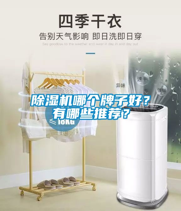 除濕機哪個牌子好？有哪些推薦？