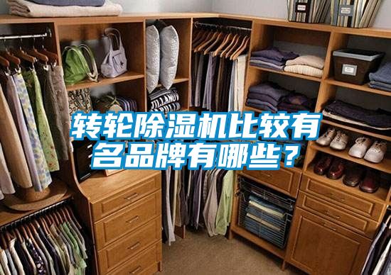 轉輪除濕機比較有名品牌有哪些？