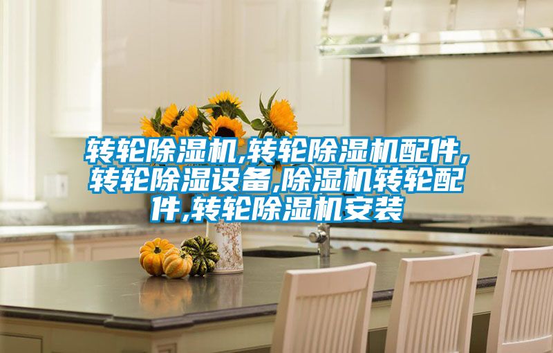 轉(zhuǎn)輪除濕機,轉(zhuǎn)輪除濕機配件,轉(zhuǎn)輪除濕設備,除濕機轉(zhuǎn)輪配件,轉(zhuǎn)輪除濕機安裝
