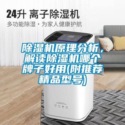 除濕機原理分析，解讀除濕機哪個牌子好用(附推薦精品型號)