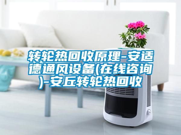 轉輪熱回收原理-安適德通風設備(在線咨詢)-安丘轉輪熱回收