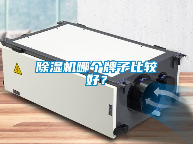 除濕機(jī)哪個牌子比較好？