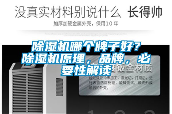除濕機哪個牌子好？除濕機原理，品牌，必要性解讀