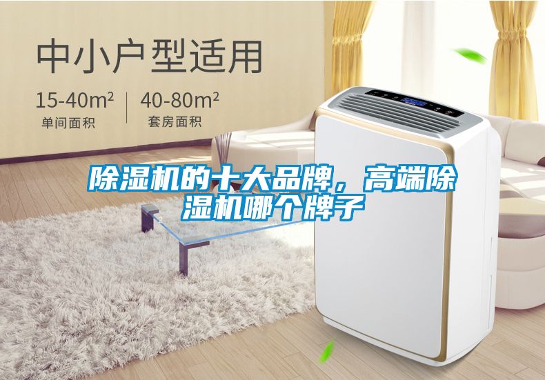 除濕機(jī)的十大品牌，高端除濕機(jī)哪個(gè)牌子