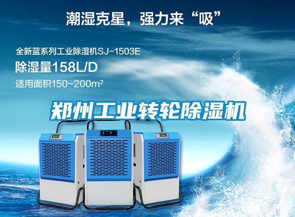 鄭州工業(yè)轉(zhuǎn)輪除濕機