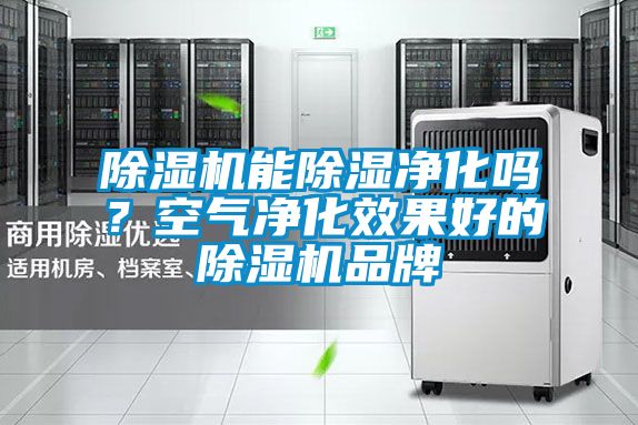 除濕機(jī)能除濕凈化嗎？空氣凈化效果好的除濕機(jī)品牌