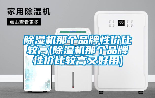 除濕機(jī)那個品牌性價比較高(除濕機(jī)那個品牌性價比較高又好用)