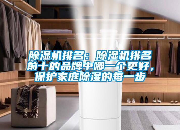 除濕機排名：除濕機排名前十的品牌中哪一個更好，保護家庭除濕的每一步
