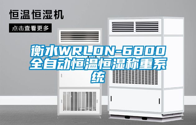 衡水WRLDN-6800全自動(dòng)恒溫恒濕稱(chēng)重系統(tǒng)