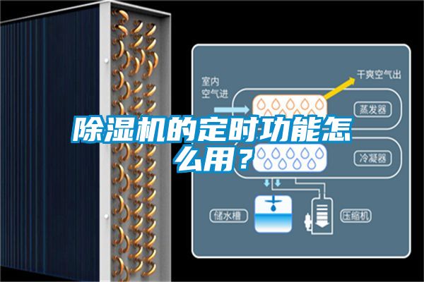 除濕機的定時功能怎么用？