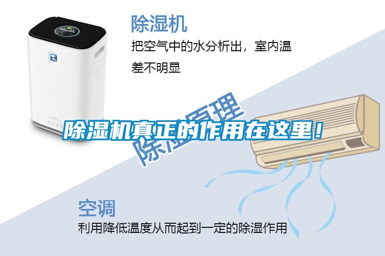 除濕機真正的作用在這里！