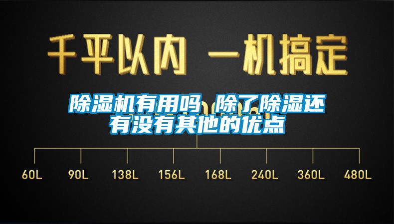 除濕機有用嗎 除了除濕還有沒有其他的優點