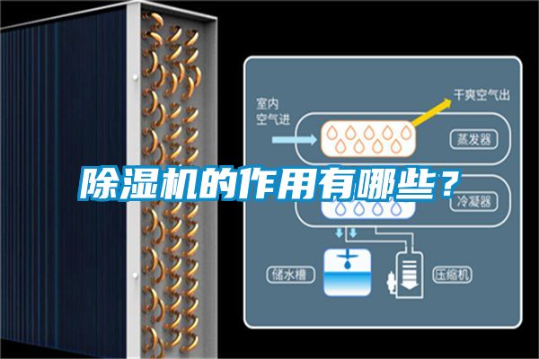 除濕機(jī)的作用有哪些？