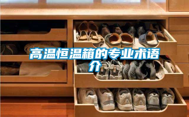 高溫恒溫箱的專業(yè)術(shù)語(yǔ)介