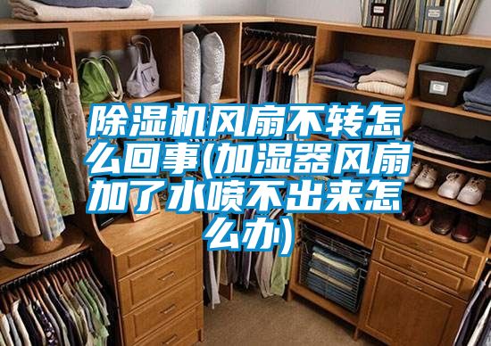 除濕機風扇不轉(zhuǎn)怎么回事(加濕器風扇加了水噴不出來怎么辦)