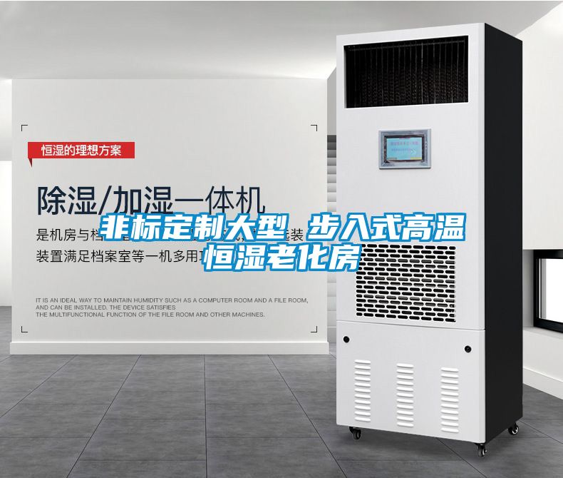 非標定制大型 步入式高溫恒濕老化房