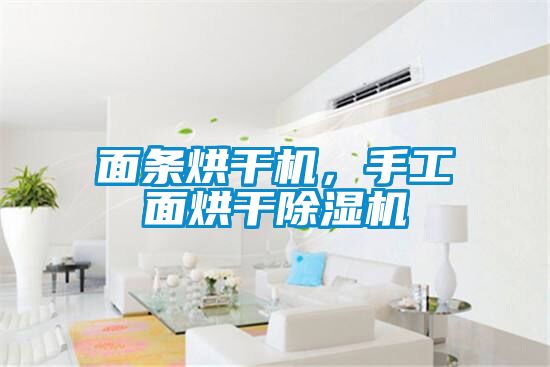 面條烘干機，手工面烘干除濕機