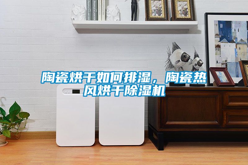 陶瓷烘干如何排濕，陶瓷熱風烘干除濕機