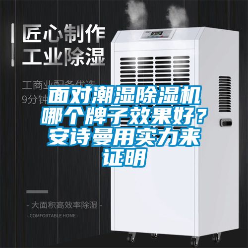 面對潮濕除濕機哪個牌子效果好？安詩曼用實力來證明
