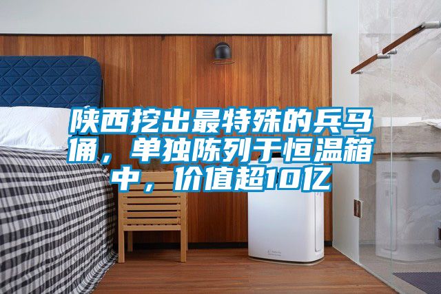 陜西挖出最特殊的兵馬俑，單獨陳列于恒溫箱中，價值超10億