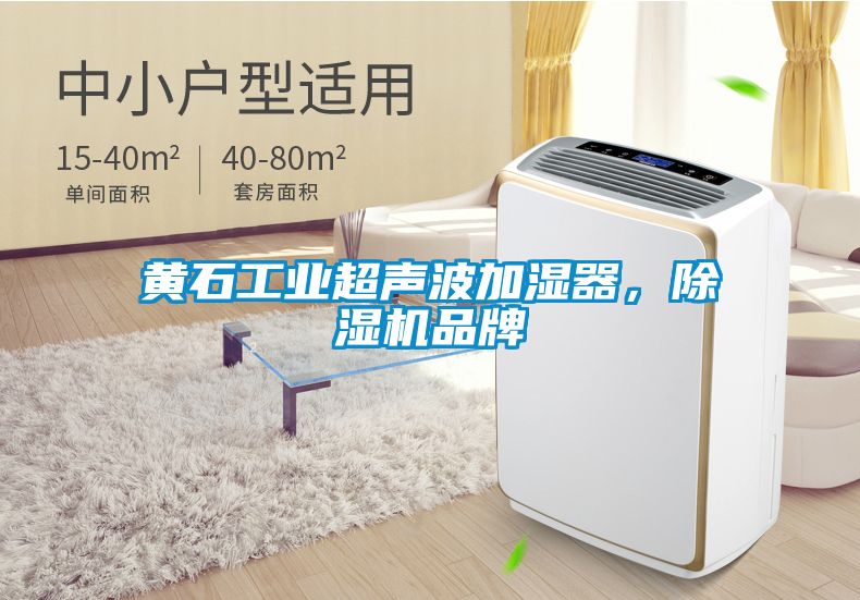 黃石工業(yè)超聲波加濕器，除濕機(jī)品牌