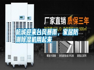 知識(shí)百科杭城迎來臺(tái)風(fēng)暴雨，家居防潮除濕機(jī)用起來