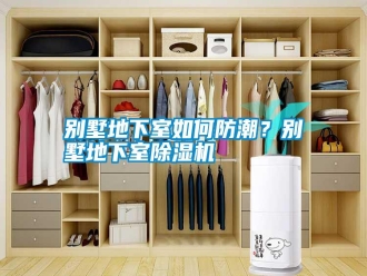 行業新聞別墅地下室如何防潮？別墅地下室除濕機