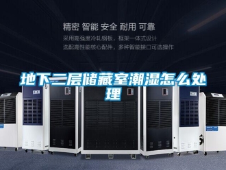 企業新聞地下二層儲藏室潮濕怎么處理
