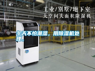 行業(yè)新聞冬天不怕潮濕，用除濕機(jī)處理。