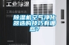 除濕機空氣凈化器選購技巧有哪些？