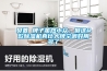 貝菱 牌子雖然小眾，但這4款除濕機真比大牌空調好用多了