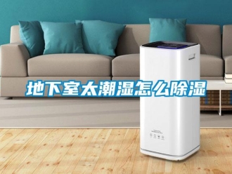 企業新聞地下室太潮濕怎么除濕