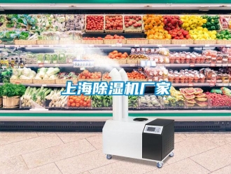 企業新聞上海除濕機廠家