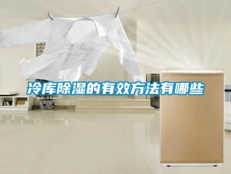 企業新聞冷庫除濕的有效方法有哪些